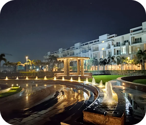 Night View of Society